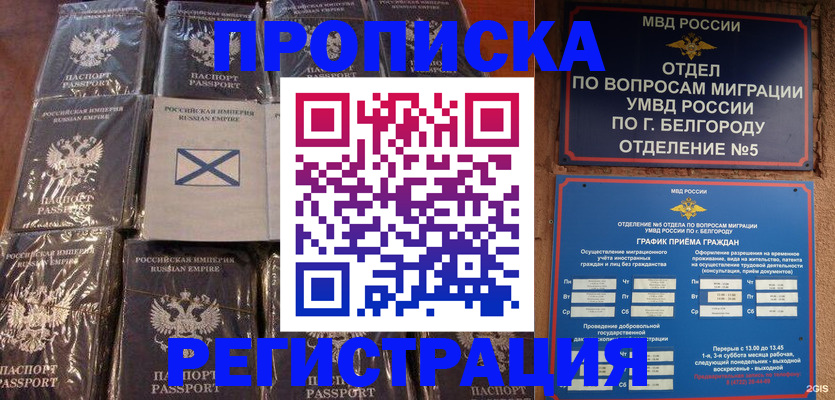 прописка гарантия в Великом Новгороде